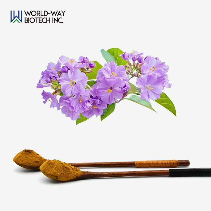 Banaba Extract Powder Banaba Extract Powder